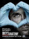 Anatomía de Grey (7ª Temporada)